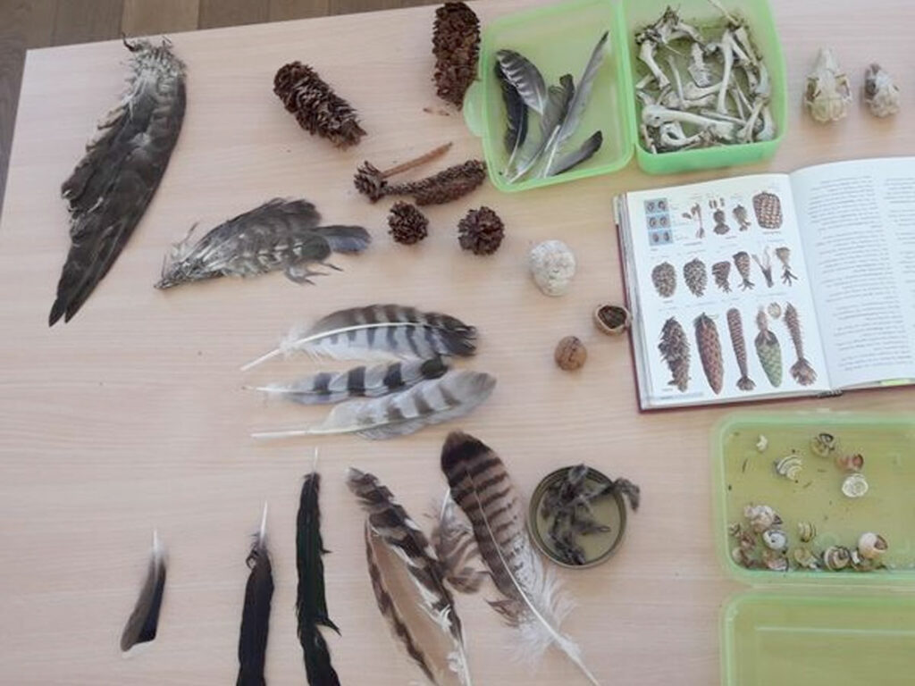 NaturCoach Ausbildung: Tierspuren: NaturCoach-Beispiel-Übung